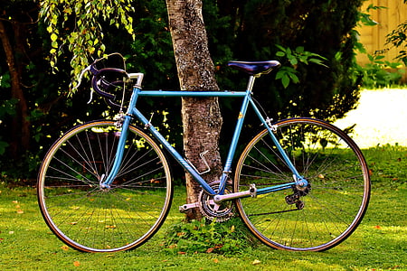 teal hard tail bicycle leaned on brown tree during daytime