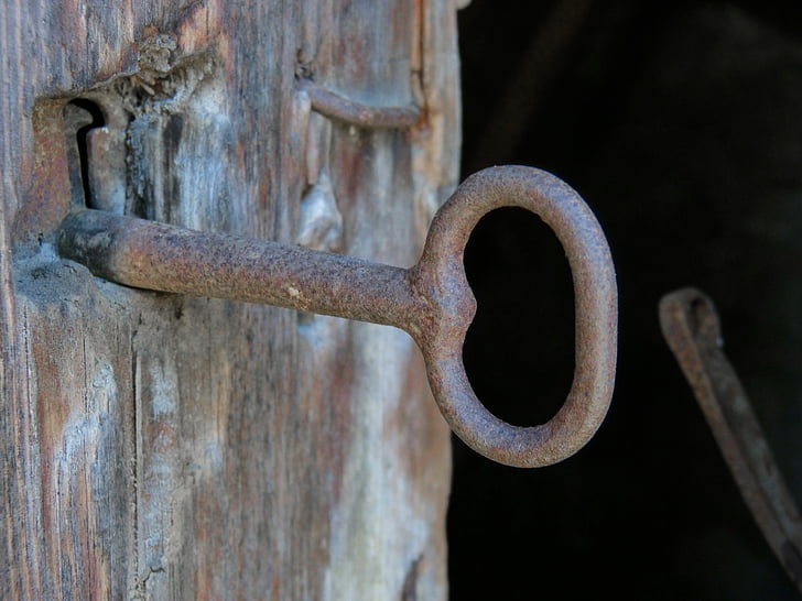 shallow photograph of brown skeleton key