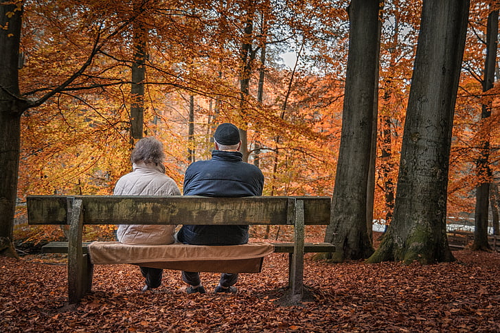man and woman wearing jacket sitting on bench under brown leaf trees during daytime