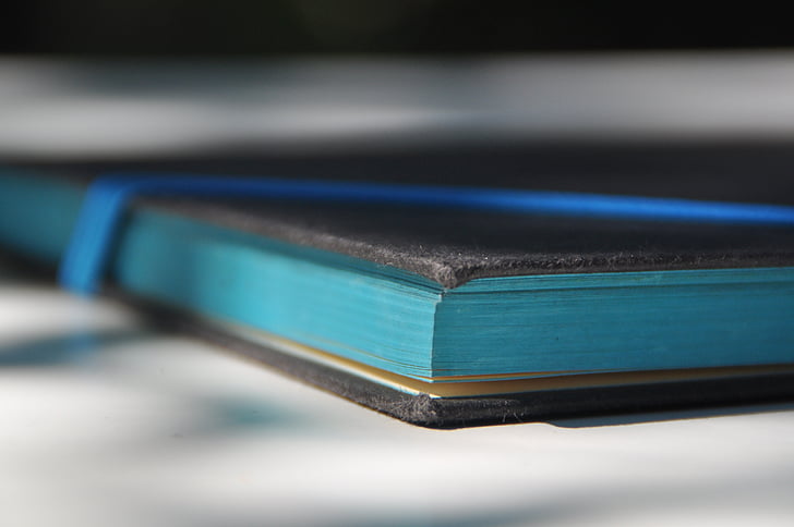closeup photo of black and blue book