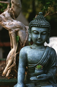 gray Buddha figurine holding green plant with pot photo
