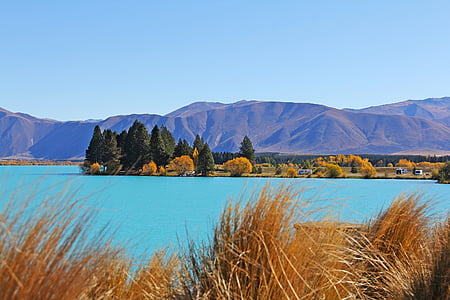 yellow and green leaf trees surrounded by water near mountain under clear blue sky