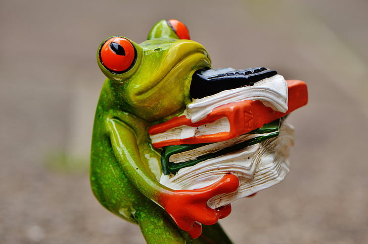 green tree frog carrying books figurine