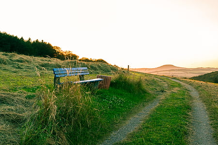 wooden bench beside the road
