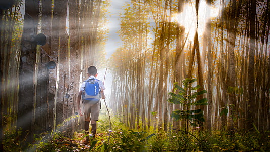 child wearing blue backpack walking towards forest