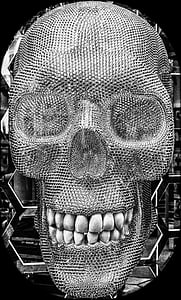 silver skull illustration