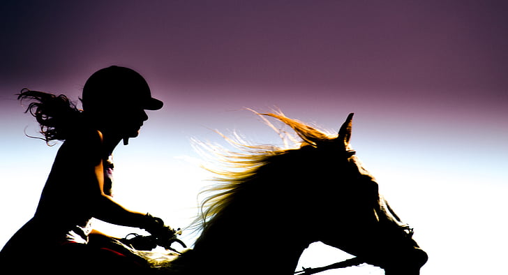 silhouette photo of equestrian riding on horse
