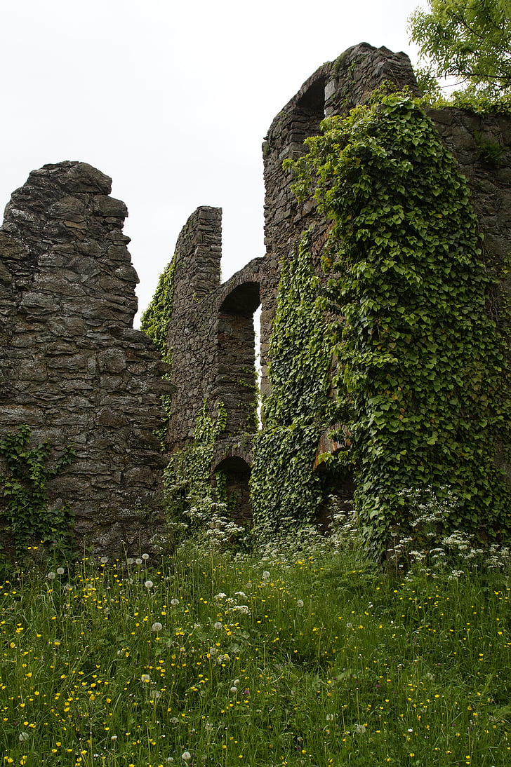 gray ruins covered in vines