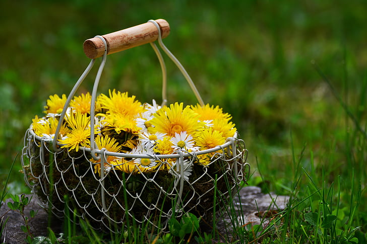 yellow and white flowers in basket