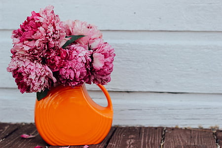 pink peonies in orange ceramic vase