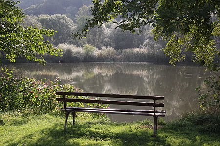 bench facing the lake in the middle of green trees