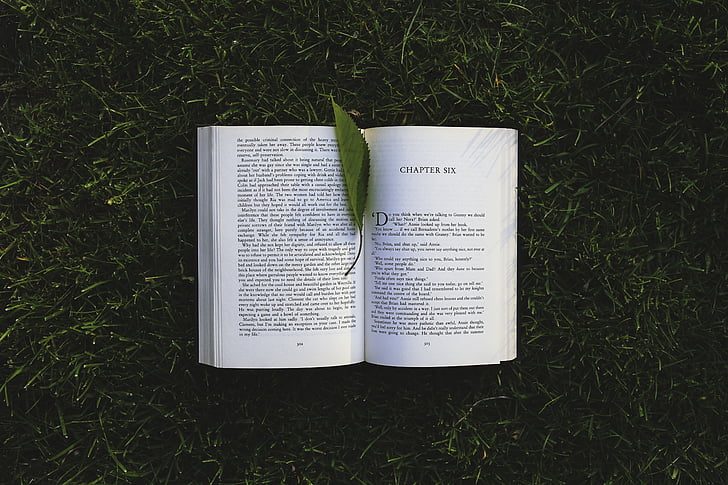 photo of opened book with leaf