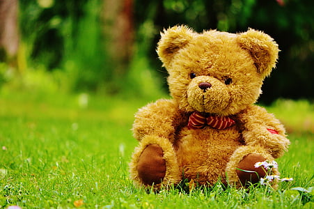 brown bear plush toy lying on green grass