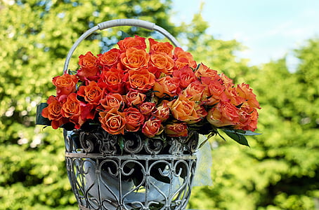 red rose flowers on white metal basket