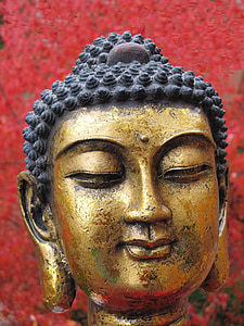 close-up photography of Buddha figurine