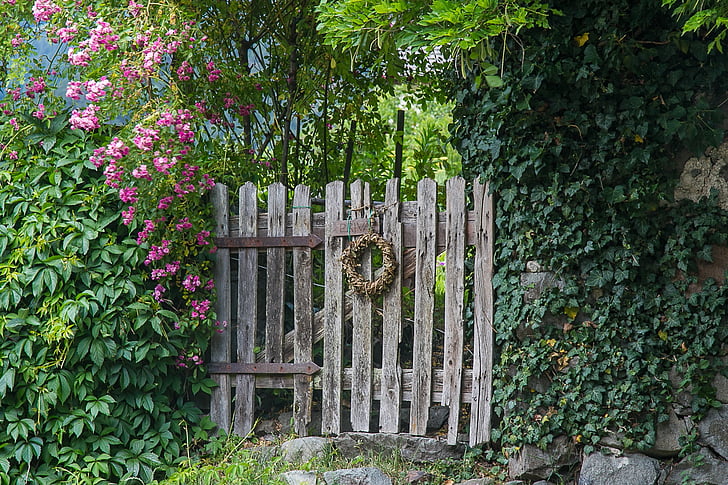 brown gate between plant fence