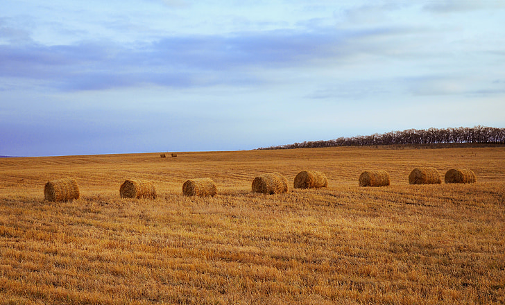 eight ball of hays on field