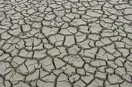 drought soil