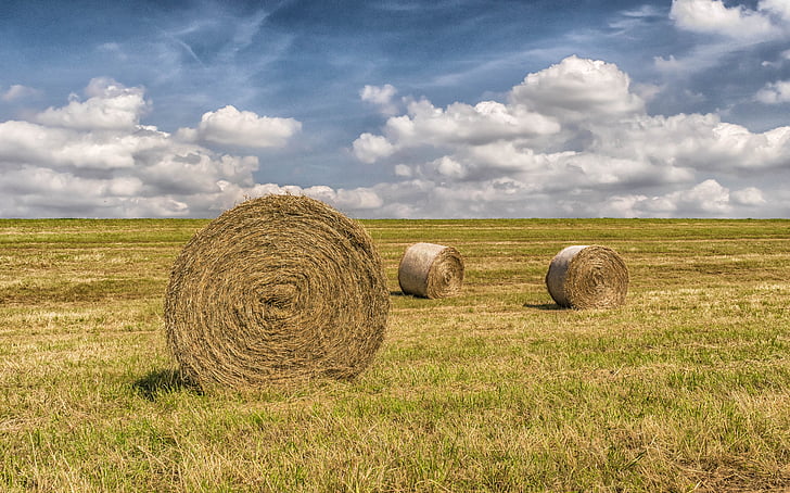three hay bales on grass field