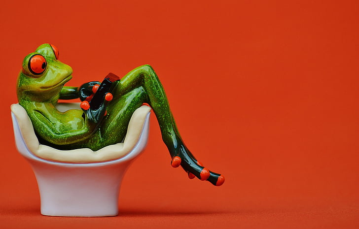 green frog sitting on egg chair