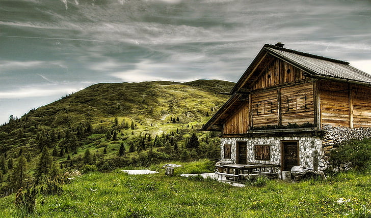 brown wooden house on mountain