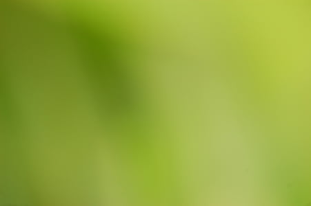 green, blur, background, blurred, color, colour