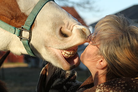 person nose to nose on brown horse