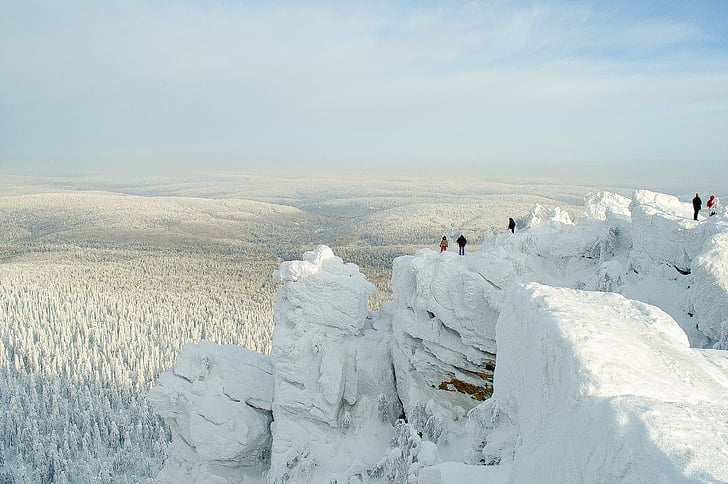 people standing on top of snow covered mountain facing snow covered trees