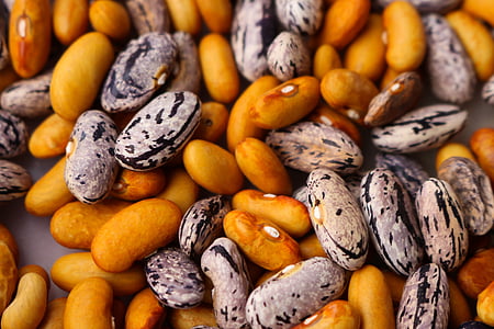 white and brown seeds