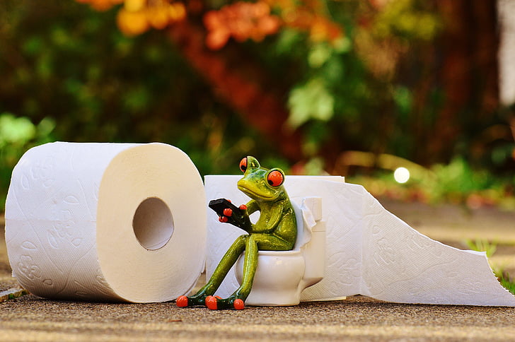 close up photography of frog sitting on toilet figurine