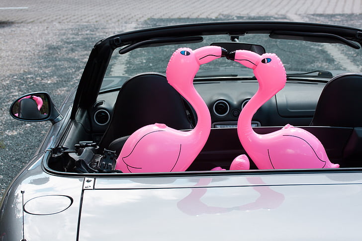 two pink inflatable flamingos on grey coupe