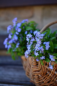 selective focus of purple petaled flower on basket