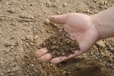 person holding brown soil