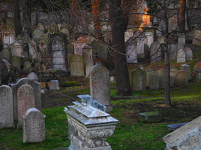 burial lot with various tombstones