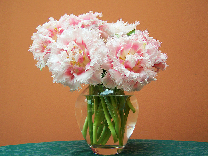 pink flowers in vase filled with water