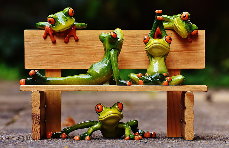 five green tree frogs on brown wooden bench