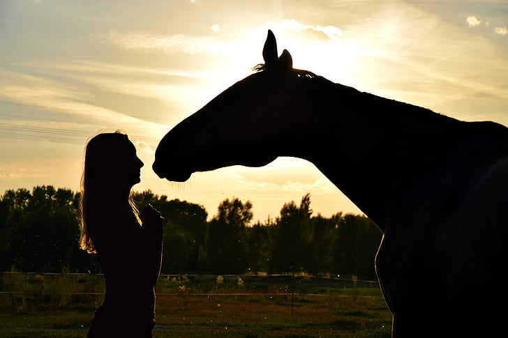 silhouette view of a woman infront of a horse face