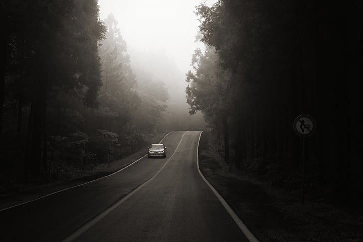 grayscale photo of vehicle along road surrounded by trees