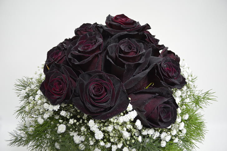 bouquet of black-and-red rose with white flowers