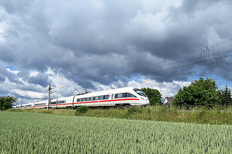 selective focus photography of white and red bullet train passing through grass field