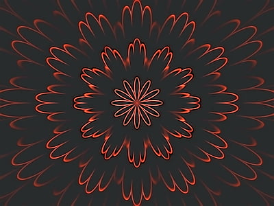 red flower digital wallpaper
