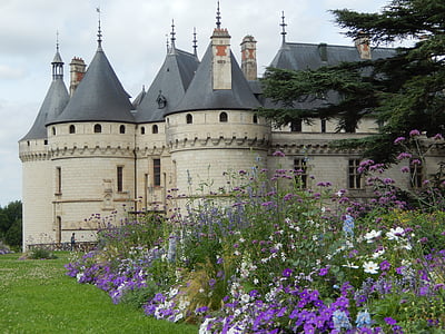 purple and white petaled flowers beside gray castle
