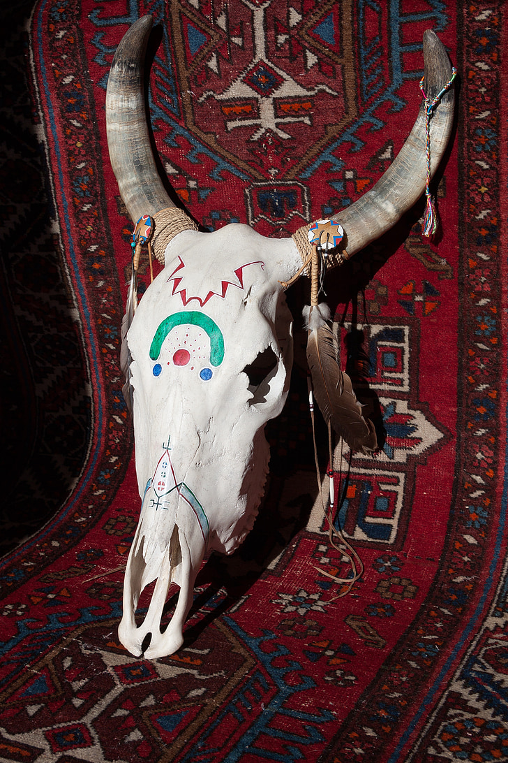 animal skull on area rug