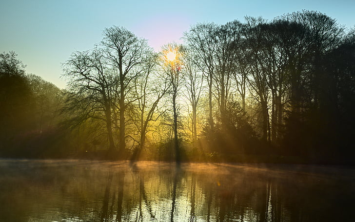 photo of sun rays on trees and body of water