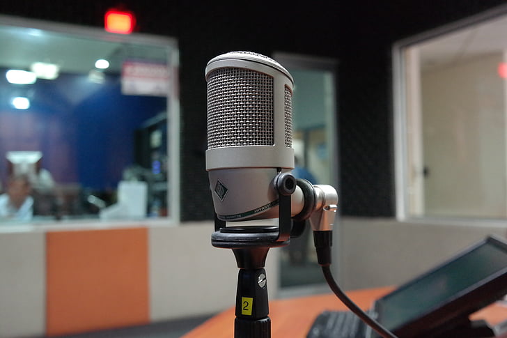 gray condenser microphone on microphone stand
