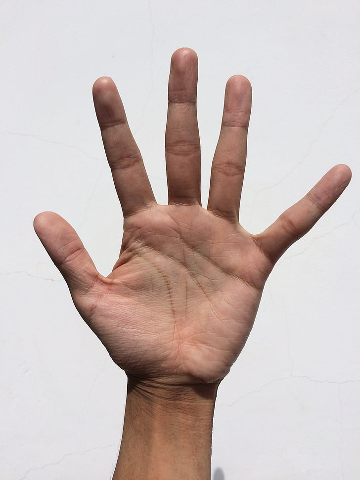 left human palm