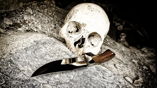 white skull and brown dagger knife on gray concrete surface