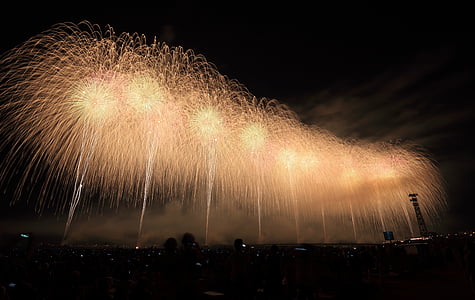 photograph of fireworks at night