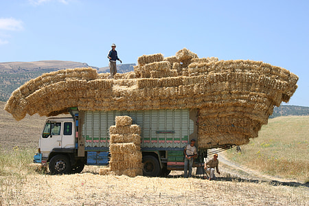 man standing top of truck with hays