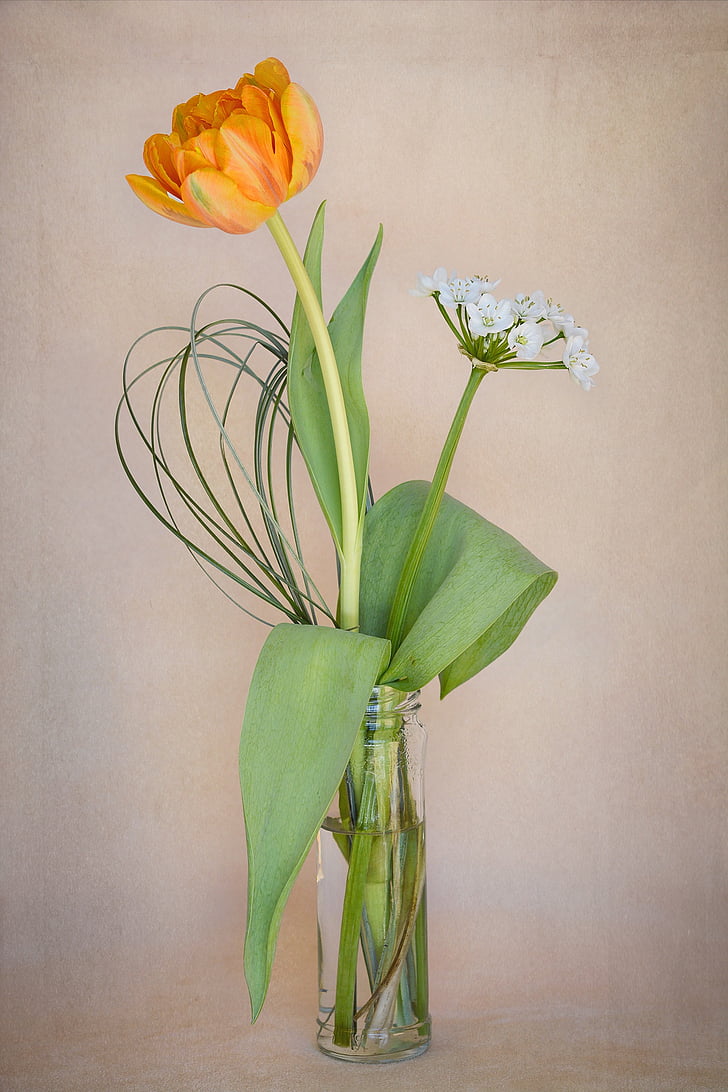 orange and white flowers in clear vase
